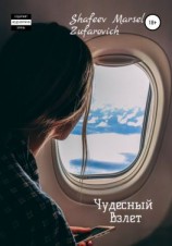 читать Чудесный взлет