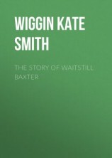 читать The Story of Waitstill Baxter