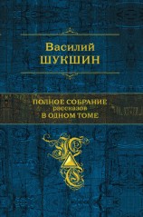 читать Мастер