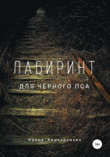 читать Лабиринт для черного пса