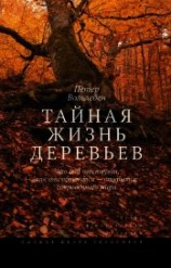 читать Тайная жизнь деревьев. Что они чувствуют, как они общаются – открытие сокровенного мира