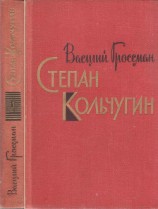 читать Степан Кольчугин. Книга первая