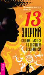 читать 13 энергий. Создание бизнеса из состояния осознанности