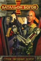 читать Страж звёздных дорог