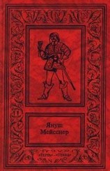 читать Черные флаги