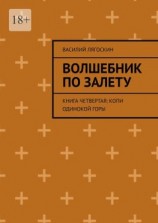 читать Волшебник по залету. Книга четвертая: Копи Одинокой горы