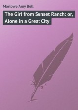 читать The Girl from Sunset Ranch: or, Alone in a Great City
