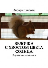 читать Белочка с хвостом цвета солнца. Сборник лесных сказок