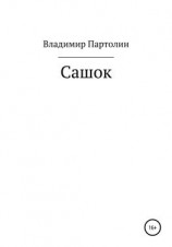 читать Сашок