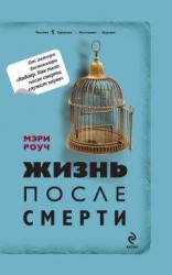 читать Жизнь после смерти