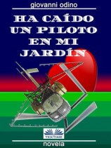 читать Ha Caído Un Piloto En Mi Jardín
