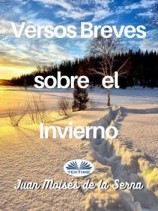 читать Versos Breves Sobre El Invierno