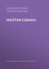 читать Желтая собака