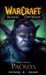 читать Раскол