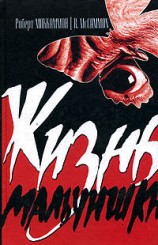 читать Жизнь мальчишки