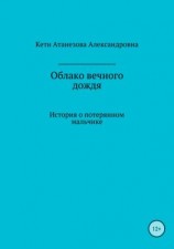 читать Облако вечного дождя