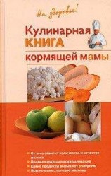 читать Кулинарная книга кормящей матери