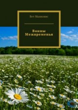 читать Воины Межвременья