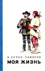 читать Моя жизнь (Художник В. Садков)