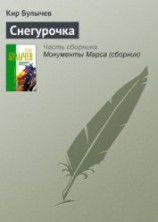 читать Колдун и Снегурочка
