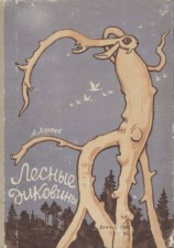 читать Лесные диковины