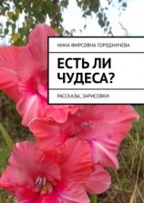читать Есть ли чудеса? Рассказы, зарисовки