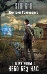 читать Я из Зоны. Небо без нас