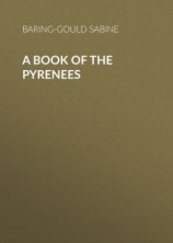 читать A Book of the Pyrenees