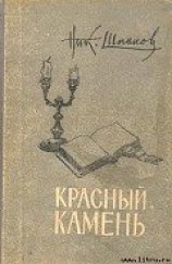 читать Связная Цзинь Фын