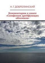 читать Комментарии к книге «Симфония дрейфующих обломков»
