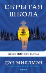 читать Скрытая школа. Квест мирного воина