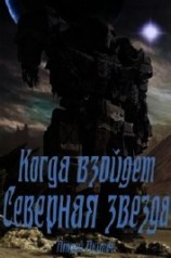 читать Когда взойдет Северная звезда
