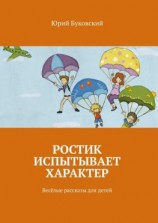 читать Ростик испытывает характер. Весёлые рассказы для детей