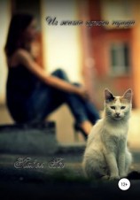 читать Из жизни одного города