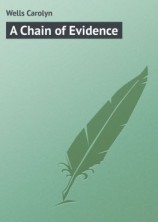 читать A Chain of Evidence