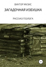 читать Загадочное зимовье