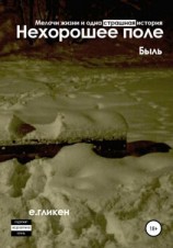 читать Нехорошее поле. Мелочи жизни и одна страшная история
