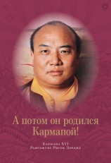 читать А потом он родился Кармапой!