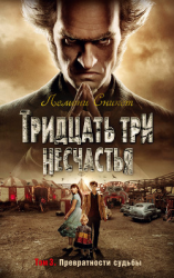 читать Тридцать три несчастья. Том 3. Превратности судьбы