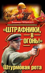 читать «Штрафники, в огонь!» Штурмовая рота (сборник)