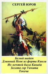 читать Белый шайен. Длинный Нож из форта Кинли. Их мечтой была Канада. Золото гор Уичита. Токеча