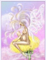 читать Цветы, которые не умирают