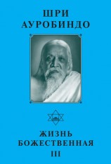 читать Шри Ауробиндо. Жизнь Божественная   III