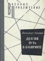 читать Долгий путь в лабиринте