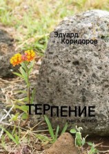 читать Терпение. Книга стихов