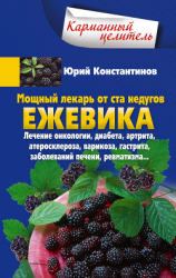 читать Мощный лекарь от ста недугов. Ежевика. Лечение онкологии, диабета, артрита, атеросклероза, варикоза, гастрита, заболеваний печени, ревматизма