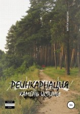 читать Реинкарнация. Камень истины