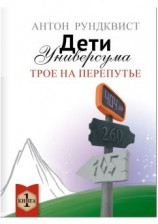 читать Дети Универсума. Книга 1. Трое на перепутье