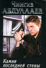 читать Камни последней стены
