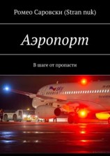 читать Аэропорт. В шаге от пропасти